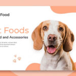 Get Perfect dog food website by expert with lot of features