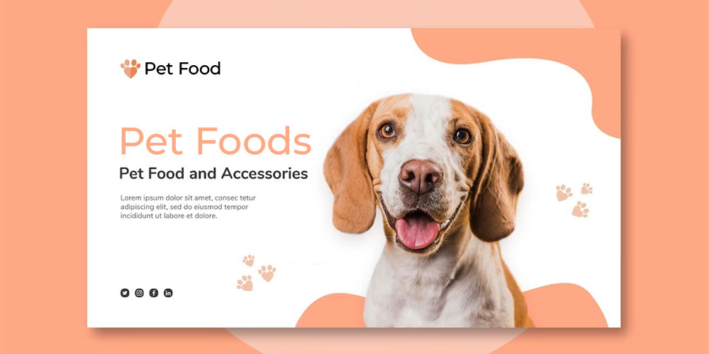 Get Perfect dog food website by expert with lot of features